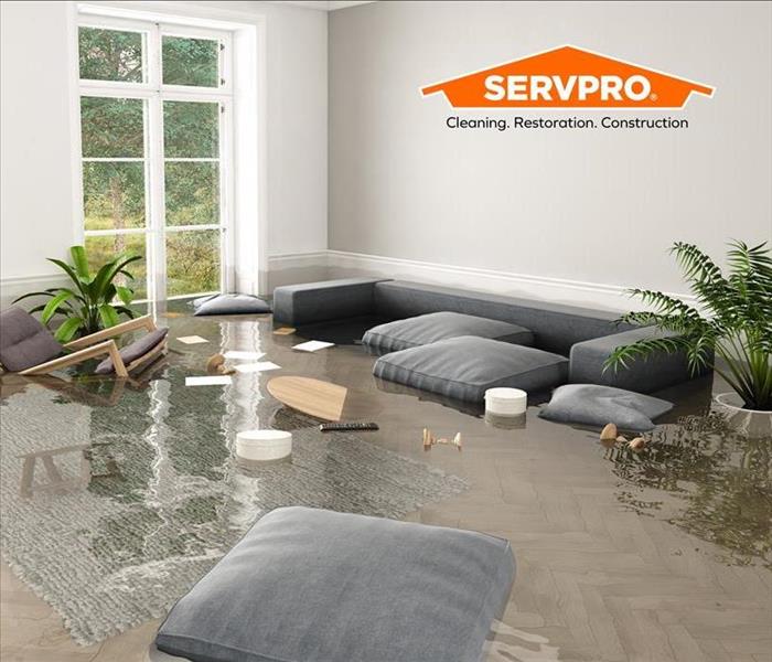standing water in a living room