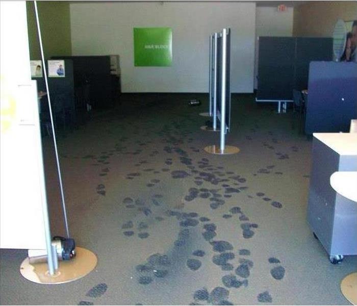 muddy and water soaked carpet in a business