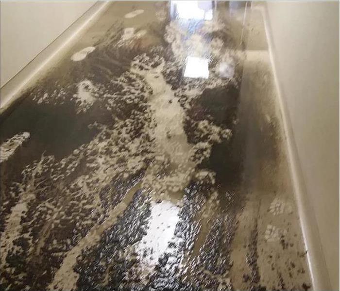 sewage from a sewer backup in a Commercial building hallway